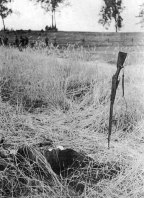 Mortos russos no campo de centeio, junho 1941