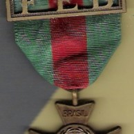 A Medalha da Força Expedicionária Brasileira